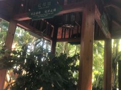 -碧水湾温泉
