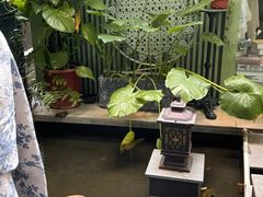-绿房子方寸咖啡(星海名城店)