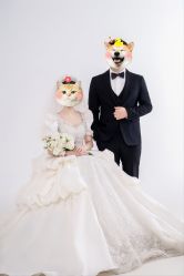 -秦皇岛我和你婚纱摄影工作室