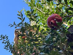 -胡氏古民居建筑