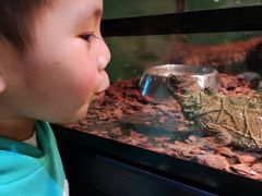 -石家庄海洋公园