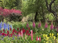 -国家植物园南园