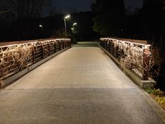 -昆山城市生态森林公园