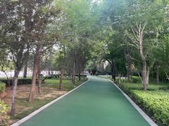-迎泽公园