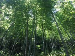 -太湖源风景区
