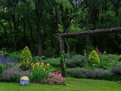 -上海共青森林公园