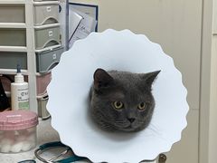 -爱诺耐芙动物医院(万博店)