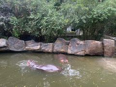 -宁波野生动物园