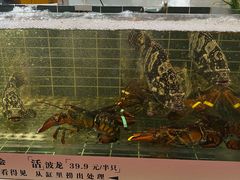 -丰卓会海鲜自助(中润大道店)