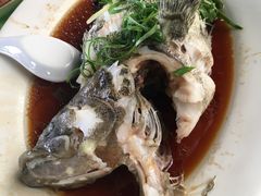 清蒸石斑鱼-盛港湾海鲜食府(黄沙店)