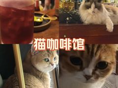 -咖法森林·咖啡  酒吧(天河店)