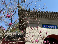 -红螺寺