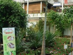 西餐部-绿色时代大酒店