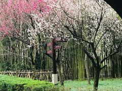 -成都杜甫草堂博物馆