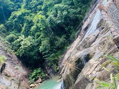 -广州白江湖森林公园