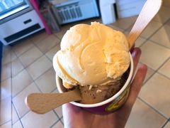 -Dooley's Premium Ice Cream