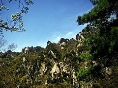 -王顺山国家森林公园