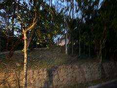 -七仙岭君澜度假酒店