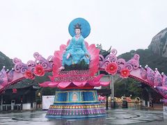 -印象普陀