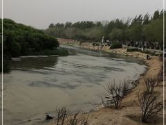 -丁香湖公园