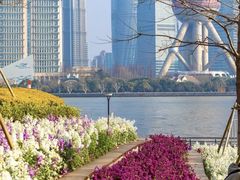 -北外滩滨江绿地