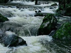 -牛背梁国家森林公园