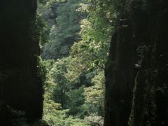 -东天目山风景区