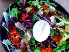 -Hatsune隐泉日式料理(三里屯太古里店)