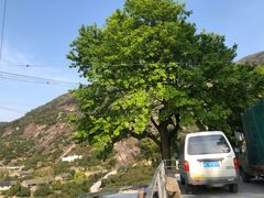 -大罗山风景区