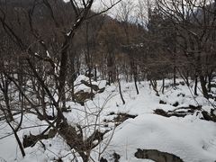 -洛阳花果山景区