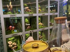 -芸山季·云南山珍菌火锅(南翔印象城MEGA店)