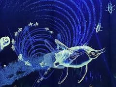 -海合安成都极地海洋公园