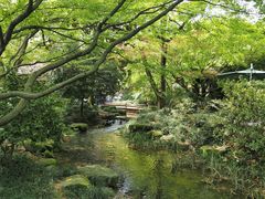 -中国茶叶博物馆(双峰馆区)