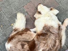 -豆舞咖啡(民乐路店)