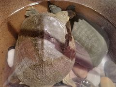 -望湘园·洞庭渔宴(永旺店)