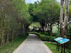 -福田红树林生态公园