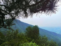 -北京十三陵国家森林公园蟒山景区
