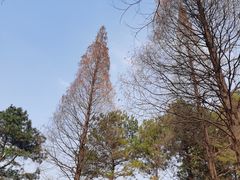 -尚湖风景区
