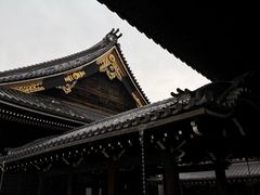 -面屋 猪一