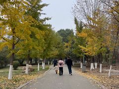 -长白岛森林公园