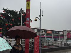 -潭村(地铁站)