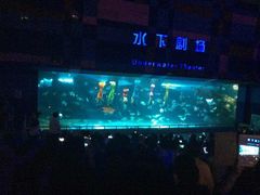 iphone_upload_pic-泉城欧乐堡海洋极地世界