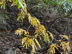 -苍山世界地质公园·石门关大峡谷
