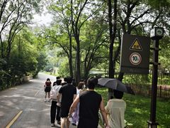 -棋盘山风景区