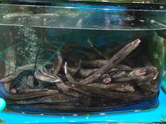 -蓝港海鲜厨房(闽江路店)