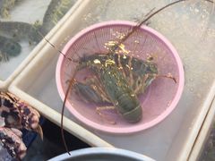 -班赞海鲜市场