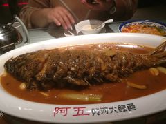 -阿五黄河大鲤鱼(英协路店)