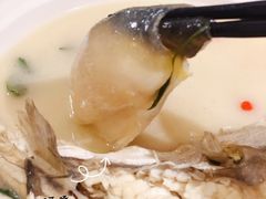 东坡河鱼-肆月河豚·新淮扬(金融街店)