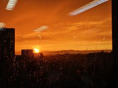 -许小树(国贸商城店)