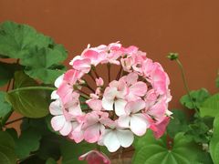 -云南师范大学(一二一西南联大校区)